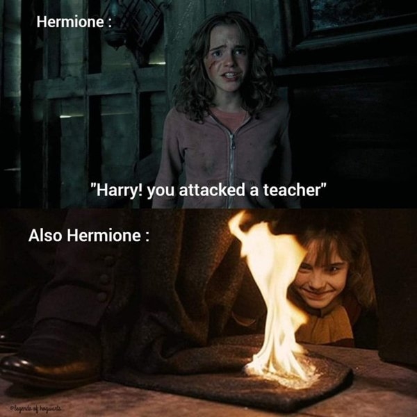 harrypottermemes3_008