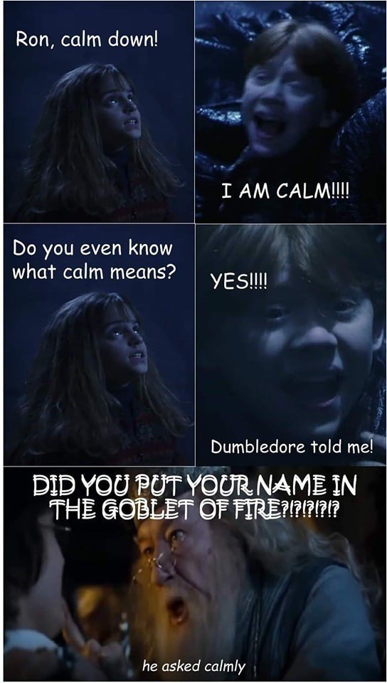harrypottermemes3_009