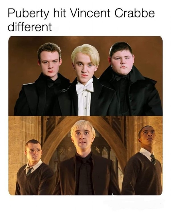 harrypottermemes3_010