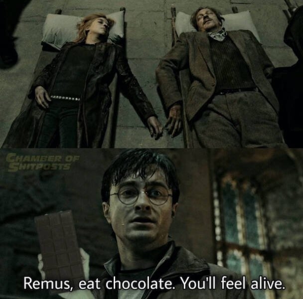 harrypottermemes3_012