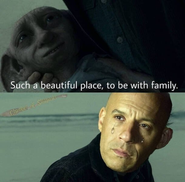 harrypottermemes3_015