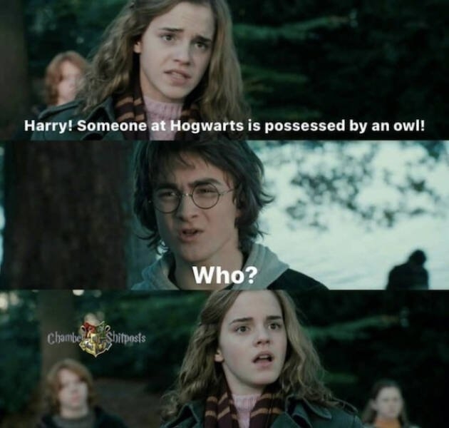 harrypottermemes3_016