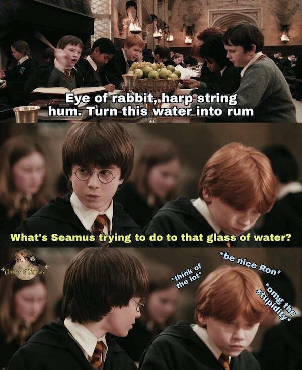 harrypottermemes3_018