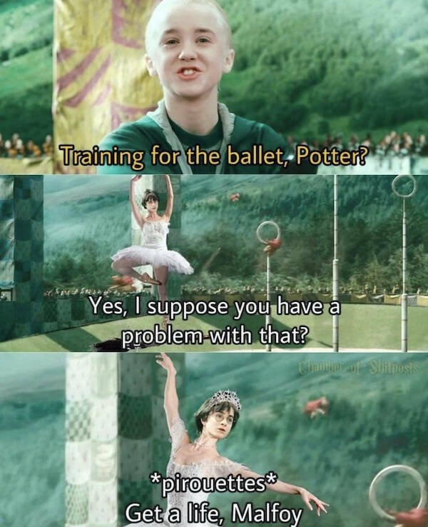 harrypottermemes3_019