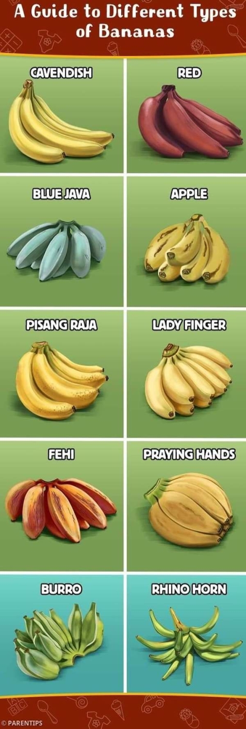 interestingdata30_005