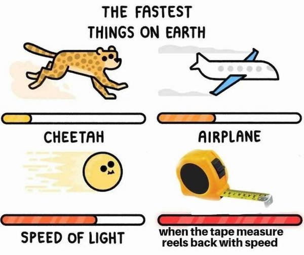 interestingdata30_008