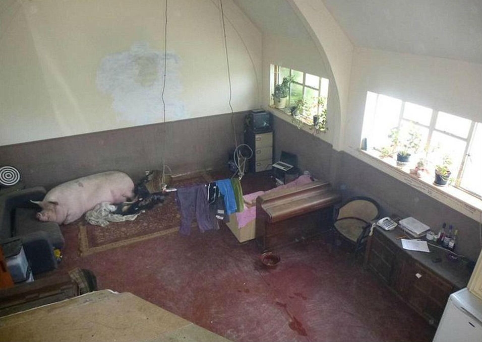 interiordesigns10_028