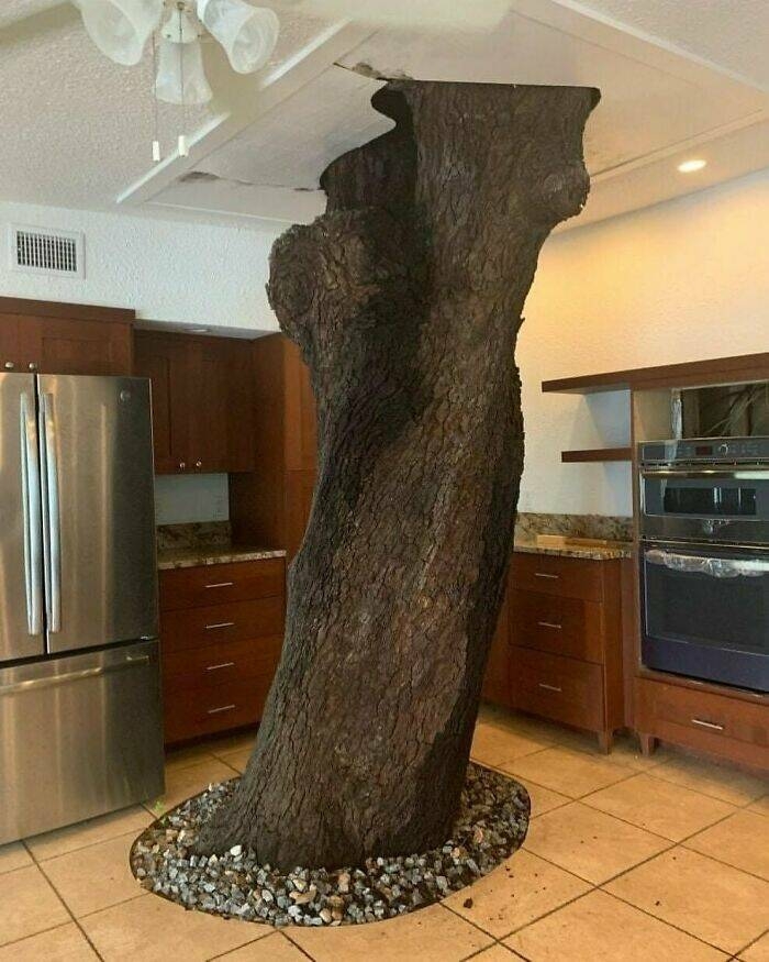 interiordesigns11_012