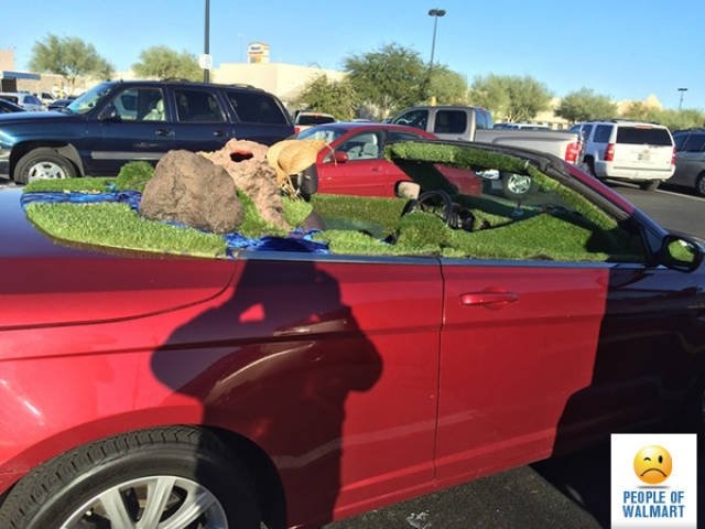 peopleofwalmart5_021