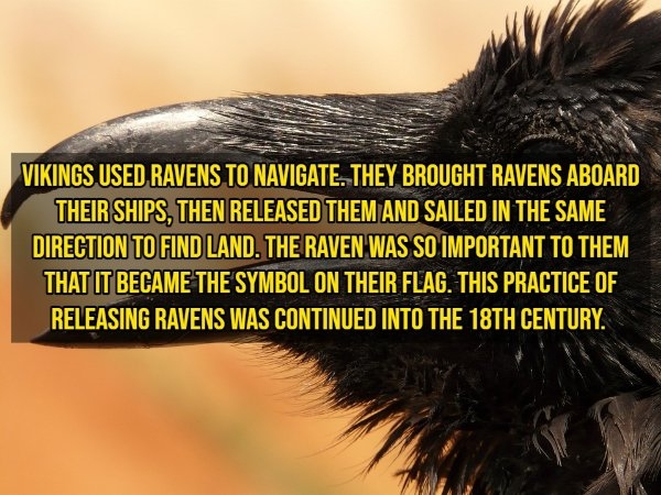 pixarfacts20_010
