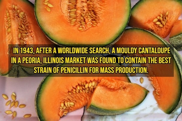 pixarfacts20_013