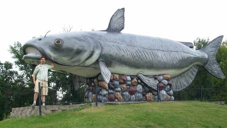 randompics714_064