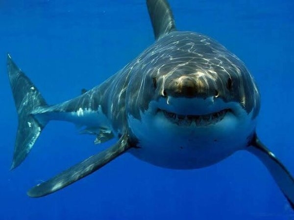 randompics714_072