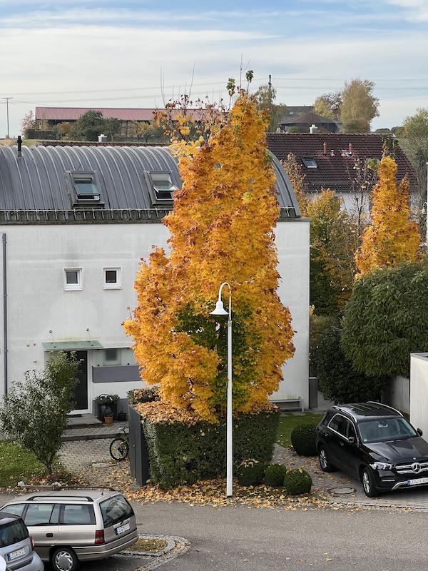 randompics717_070