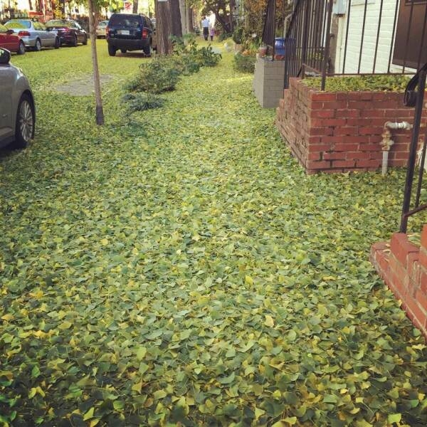 randompics739_078