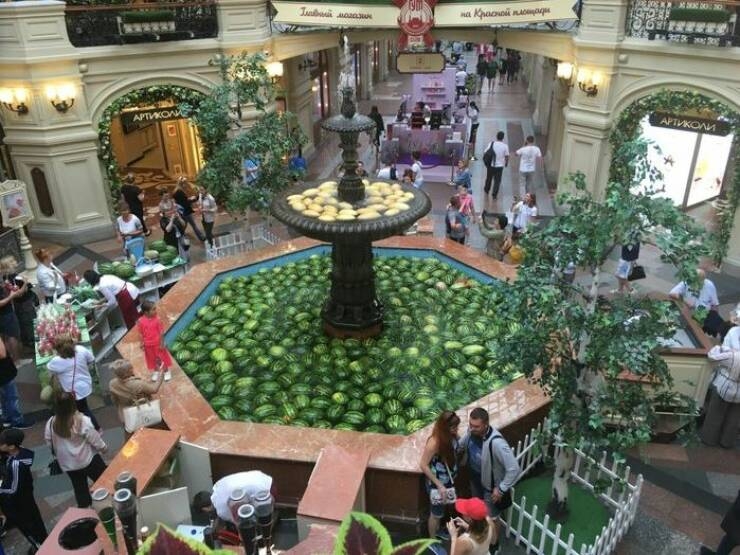 randompics751_056