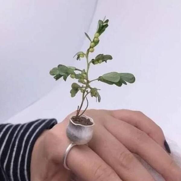 strangefashion11_009