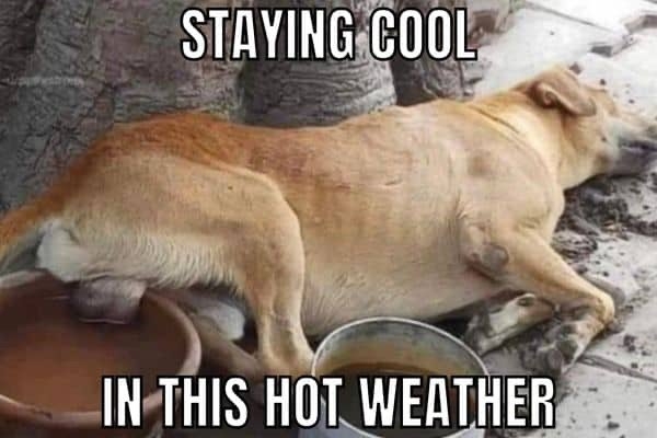 weathermemes_019