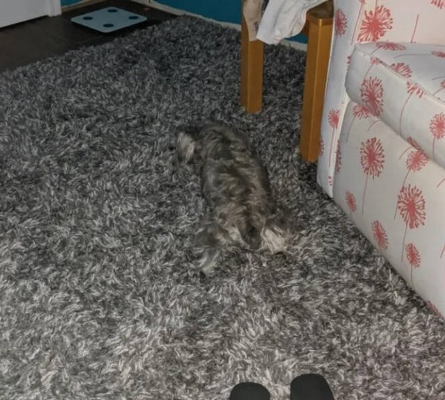 camoflauge5_002