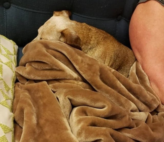 camoflauge5_015