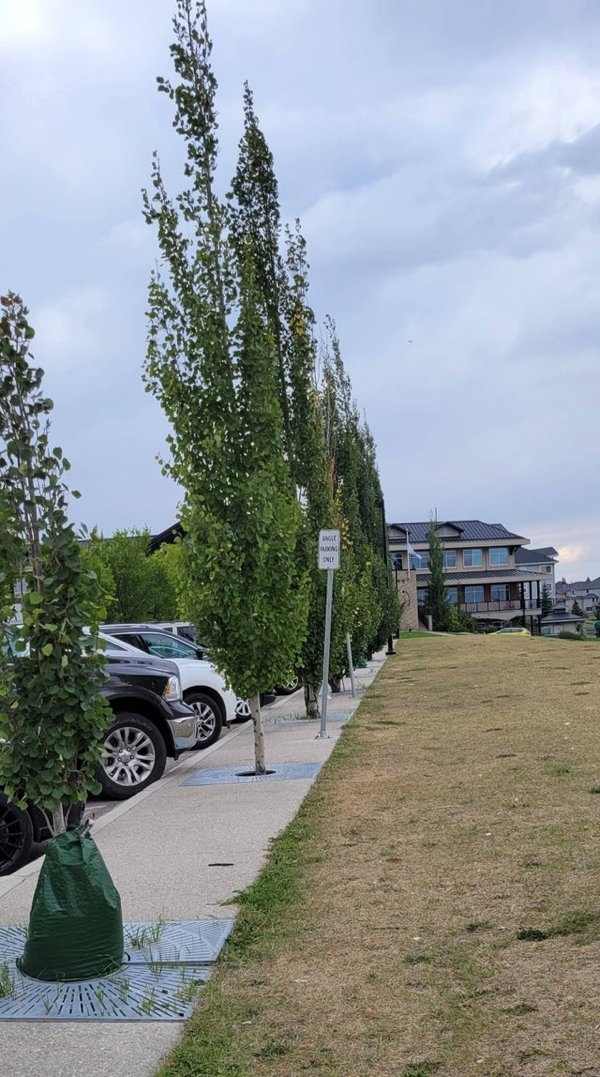 strangedesigns16_021