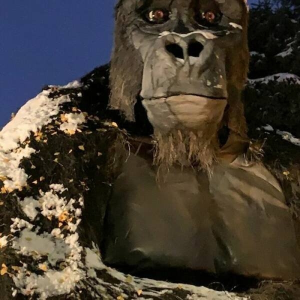 unusualarchitecture14_035