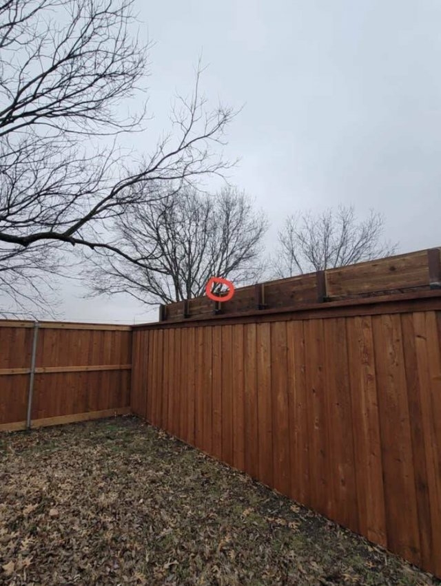 badneighbors_015