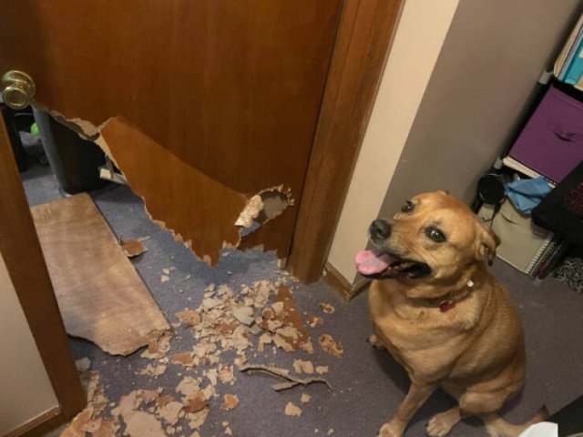 fails55_057