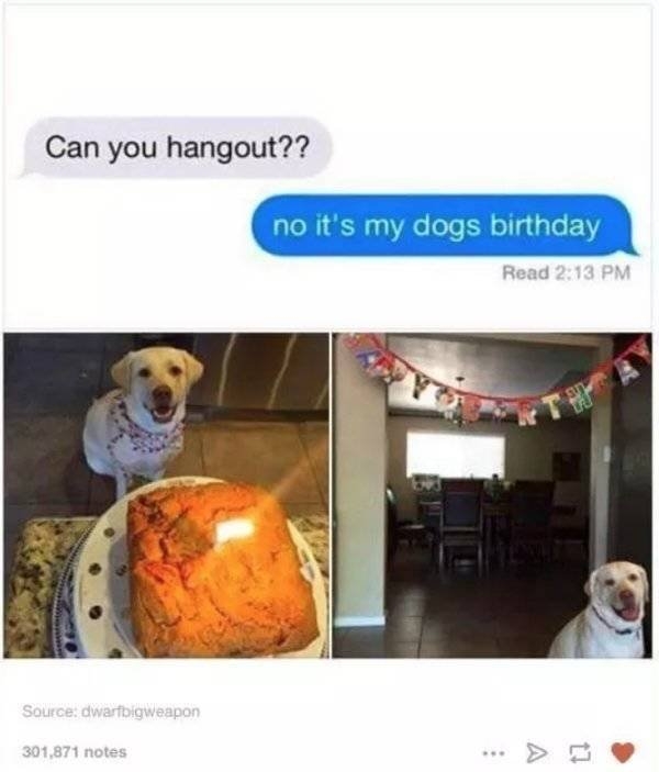 funnyanimals47_001