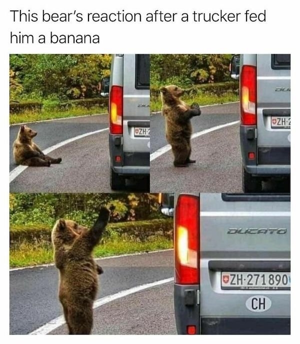 funnyanimals47_035