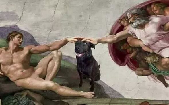 funnyanimals51_004