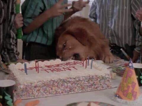 funnyanimals51_015