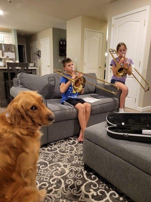 funnyanimals51_021