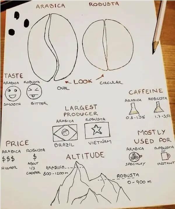 interestingdata32_002