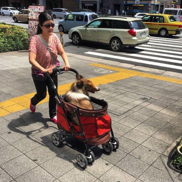 japanlife2_006