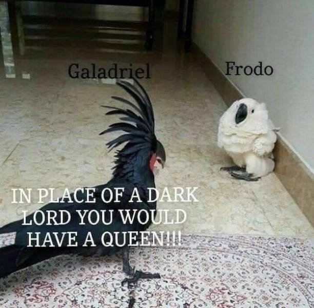 lotrmemes8_003