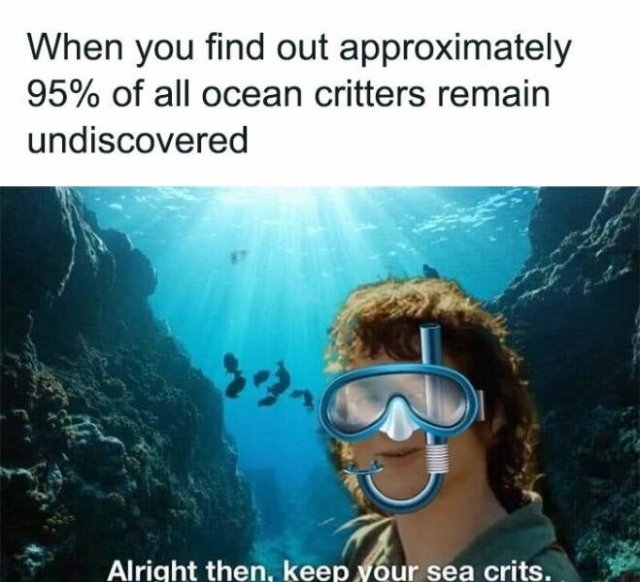 lotrmemes8_017