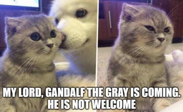 lotrmemes8_019