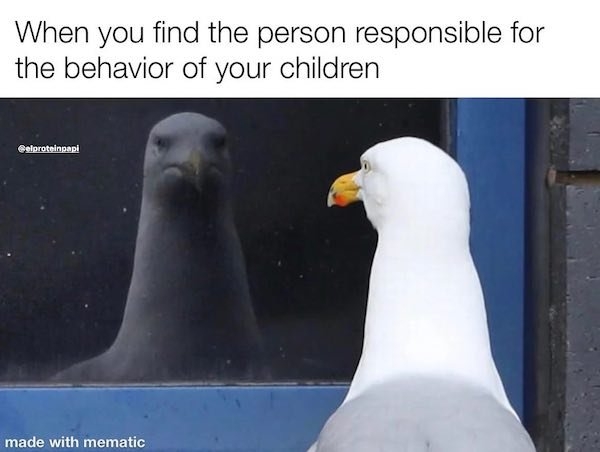 parentingmemes7_024