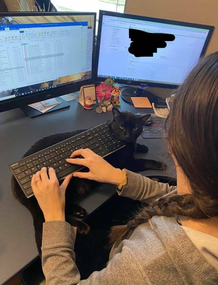 randompics771_073