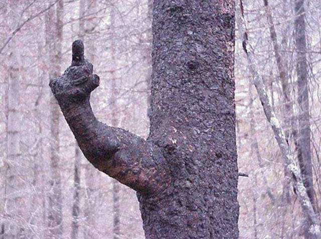 randompics792_058