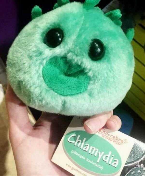 strangedesigns18_034