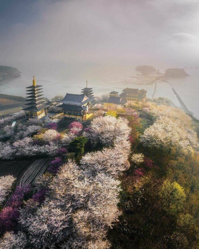 unusualarchitecture15_013