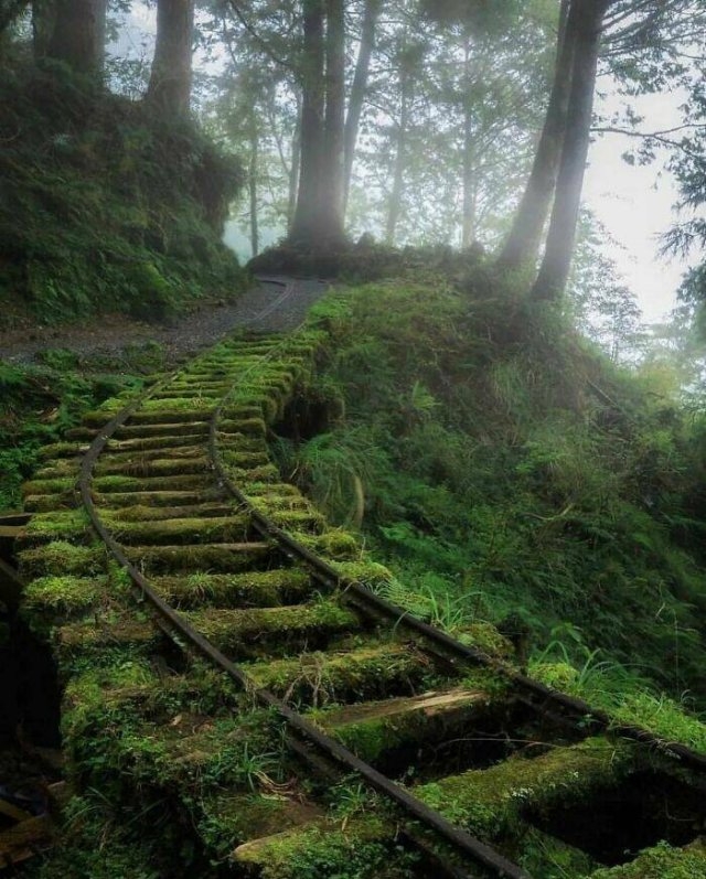 abandonedplaces19_009