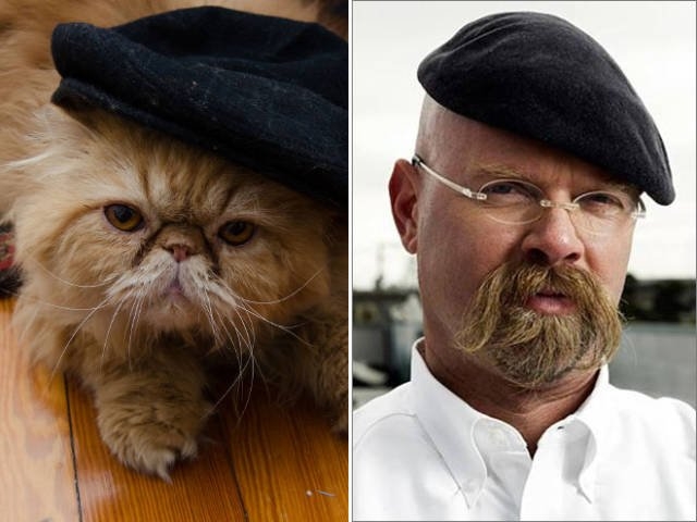 animaldoppelgangers_002