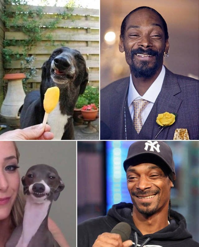 animaldoppelgangers_004