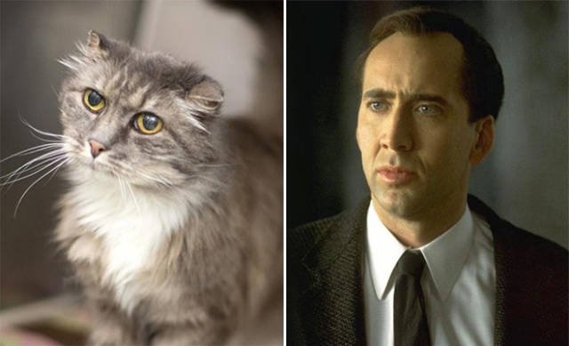 animaldoppelgangers_014