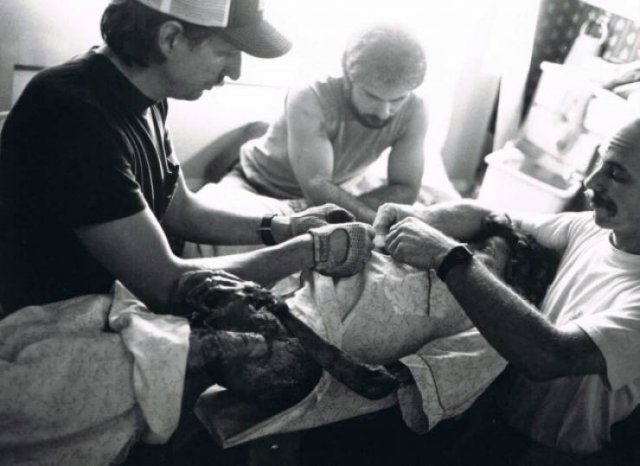 behindnightmareonelmstreet_004