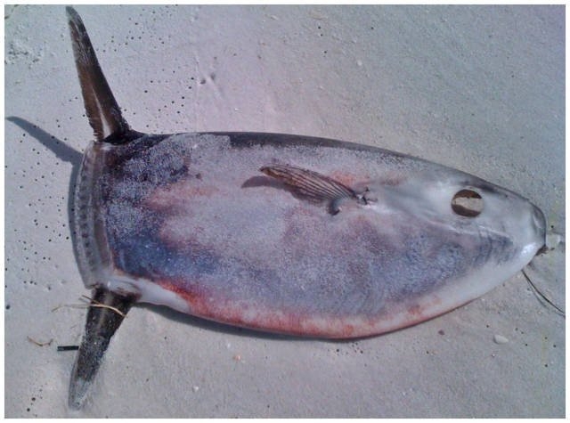 exploreaustralia2_006