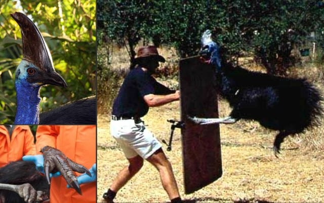 exploreaustralia2_014